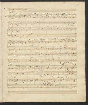 Minuetto. Allegretto moderato