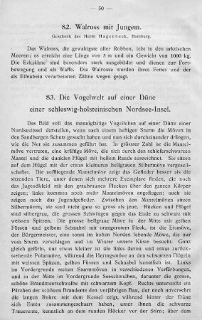 83. Die Vogelwelt auf einer Düne einer schleswig-holsteinischen Nordsee-Insel.