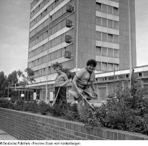 Rabattenpflege am Haus der Presse
