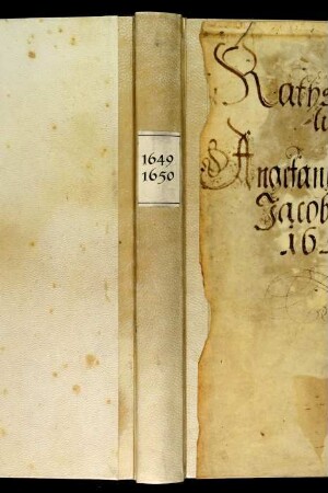 Ratsprotokolle, 1649 Juli 31. - 1650 Mai 23.