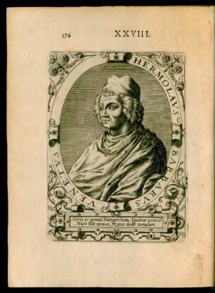 XXVIII.