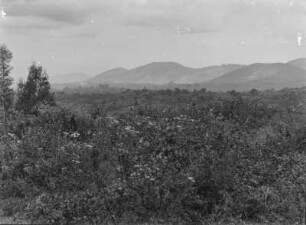 Kilimandscharo-Gebirge : Blick auf die Landschaft des Kilimandscharogebietes
