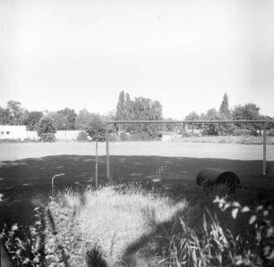 Berlin-Schöneweide, Köllnische Straße (Ecke Rudower Straße?). Sportplatz. Ansicht mit Fußballtor