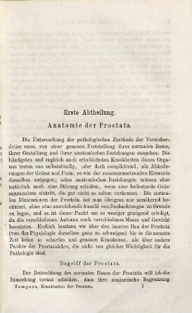 Erkennung und Behandlung der Prostata-Krankheiten