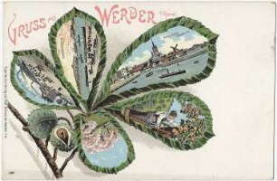 Werder (Havel). Stadtansichten, Ansichtskarte, Farbdruck