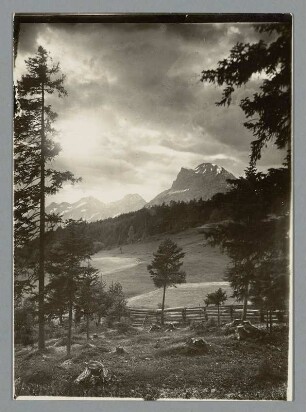 Am Hohen Munde in Tirol