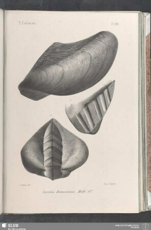 Pl. 398
