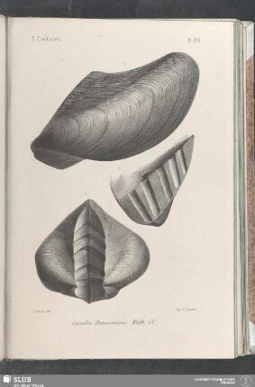 Pl. 398