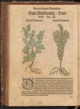 Von Stabwurtz, Hertwurtz, Cap. CXII