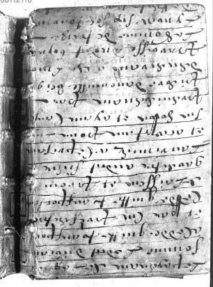Stundenbuch - BSB Clm 10101