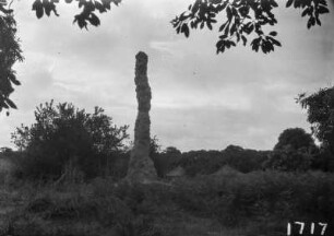 Termitenhügel : Termitenhügel vor Hütten im Busch