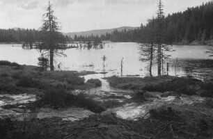 Kleinen Arbersees : Blick auf den Kleinen Abersee