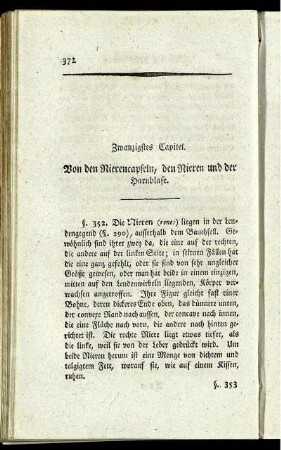 Zwanzigstes Capitel. Von den Nierencapseln, den Nieren und der Harnblase.