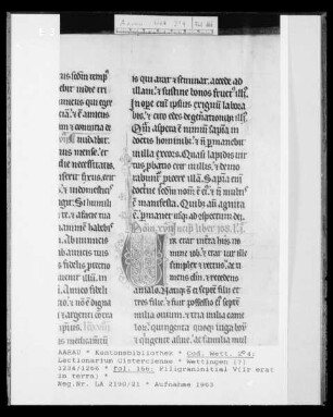 Lectionarium Cisterciense: Textseite, fol. 166