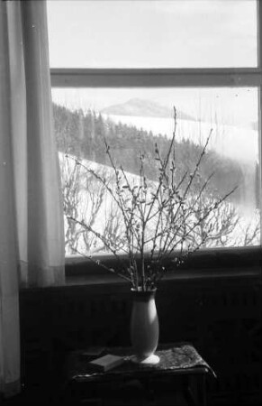 Glotterbad: Salon des Sanatoriums; Fenster mit Zweigen