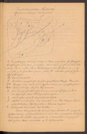 Zweite Expedition Herbst 1887.