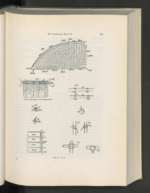 Abb. 61. d-p.