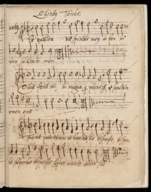 5. Magnificat Quintus Tonus