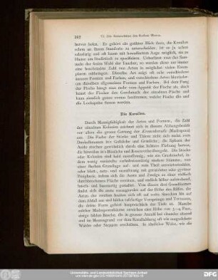 Die Korallen.