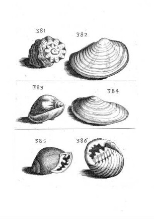 381. - 386.
