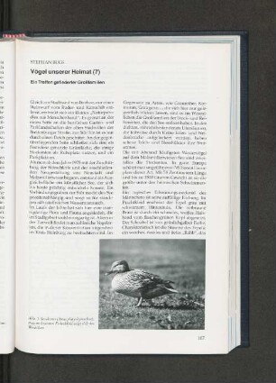 Vögel unserer Heimat (7). Ein Treffen gefiederter Großfamilien.