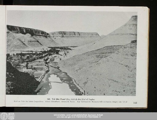 141. Tal des Oued Ziz,