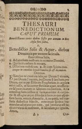 3-85, Caput Primum