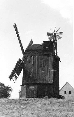Jesewitz-Gallen. Eckard Mühle, Paltrockmühle (1924 umgebaute Bockmühle)