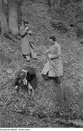 Waldspaziergang mit Roger Rössing und Rudolf Bartsch