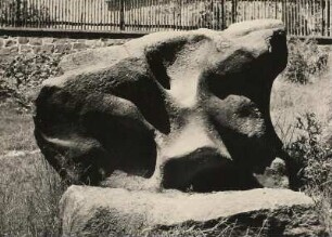 Oligozäner Knollenstein (Quarzit) mit Wurzelröhren. Burgberg bei Grimma-Hohnstädt