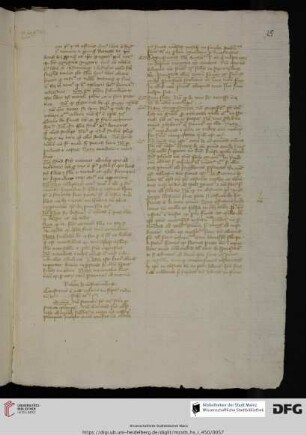 Commentarius in primum librum Decretalium