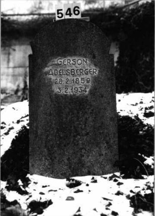 Grabstein 546 (Index: 100092132) Material: Granit Zustand: gut Maße HxBxT: 96x50x15 cm Beschreibung: Stele mit eingezogenem Rundbogenabschluß Symbolik: Davidstern: Grabstein 546