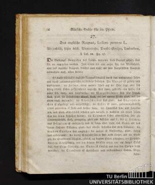 27. Das englische Raigras, Lolium perenne L.