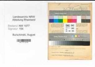 Entnazifizierung August Burschinski , geb. 13.05.1895 (Polizist)