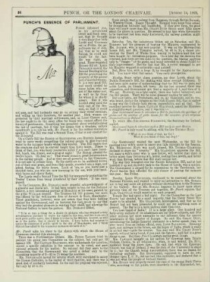 Punch's essence of parliament
