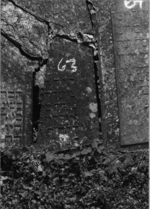 Grabstein 63 (Index: 99796391) Material: Sandstein Zustand: verwittert Maße HxBxT: 0x0x0 cm Beschreibung: Stele, giebelartiger Abschluß: Grabstein 63