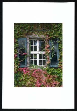 Landhaus Dr. Franz Oppenheim, Berlin-Wannsee: Ansicht Fenster mit Weinlaub, 2009