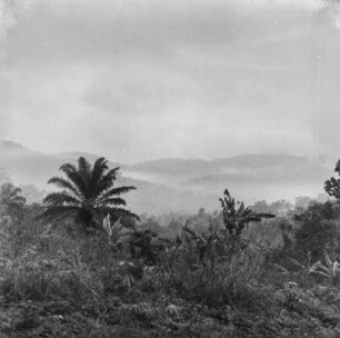 Berglandschaft (Kamerunreise 1937)