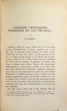 Sammlungen des Geologischen Reichsmuseums in Leiden, 4