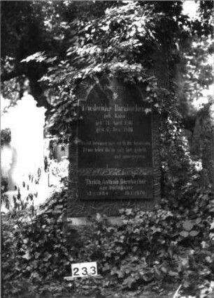 Grabstein 233 (Index: 100085046) Maße HxBxT: 145x68x37 cm Beschreibung: Stele, Sockel, eingezog. Rundbogenabschl. , Schriftplatte m. eingezog. Rundbogenabschl.: Grabstein 233
