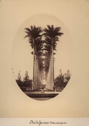 Rio de Janeiro: Botanischer Garten