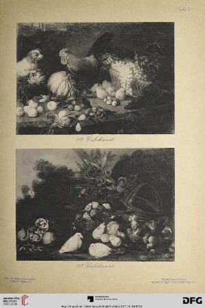 Tafel I-VII