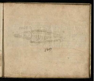 Ill. 35 zu "Vom gebratenen Fisch/ wie No. 35. weiset"