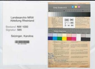 Entnazifizierung Karoline Seizinger, geb. 25.07.1911 (Sekretaerin)