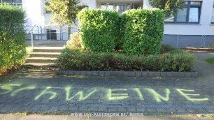 SchWEINE