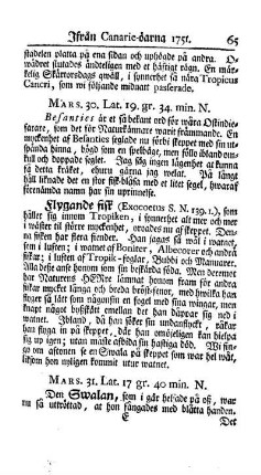 Ifran Canarie - örna 1751