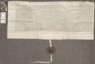 Mainz (Generalia): Konfirmation und Manutenenz der der Mainzer Clerisei von Kaiser Maximilian I. erteilten Privilegien