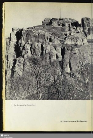 25 Der Regenstein bei Blankenburg