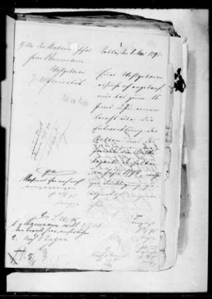 Jahresbericht des Kaiserlichen Landeshauptmanns für die Berichtsjahre 1894/1895, 1895/1896