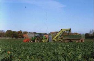 Fotografie: Erntetechnik, Zuckerrübe, Frontköpfer, Zuckerrübenroder, Parallelverfahren